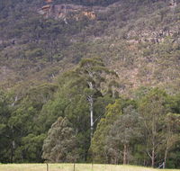 Bangadilly National Park - Redcliffe Tourism