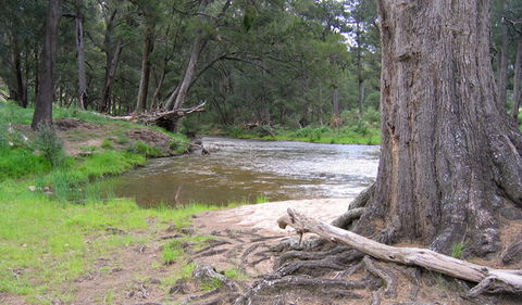 Bangadilly National Park - Redcliffe Tourism 3