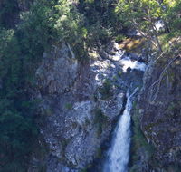 Lyrebird Falls walking track - Redcliffe Tourism