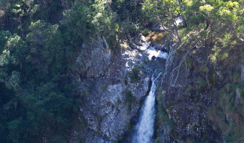 Lyrebird Falls Walking Track - Redcliffe Tourism 0