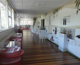 Kanyana Wildlife Rehabilitation Centre - Redcliffe Tourism 1