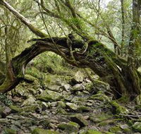 Mitchell River Walking Track - Redcliffe Tourism