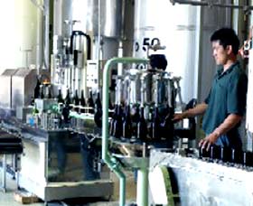 Sun Masamune Sake Brewery - Redcliffe Tourism 2