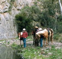 Yarramba Horse Riding - Redcliffe Tourism