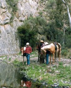 Yarramba Horse Riding - Redcliffe Tourism 0
