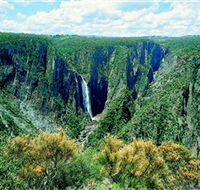 Wollomombi Falls - Redcliffe Tourism