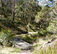 Wollomombi walking track - Redcliffe Tourism
