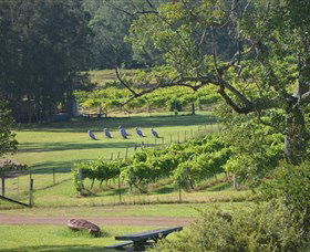 Wollombi Wines - Redcliffe Tourism 8