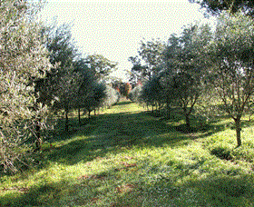 Langdale Farm - Redcliffe Tourism