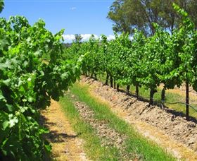 Misty Glen Wines And Cottage - Redcliffe Tourism 1