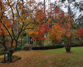 Bellbird Cottage - Redcliffe Tourism 0