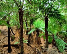 Pegarah Private Nature Reserve & Parenna Place - Redcliffe Tourism 0