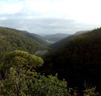 Nattai Gorge Lookout - Redcliffe Tourism