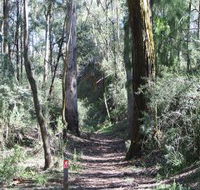 Box Vale Mine Walking Track and Lookout - Redcliffe Tourism