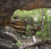 Cave Creek Walking Track - Redcliffe Tourism