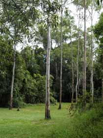 Pioneer Country Park - Redcliffe Tourism 1