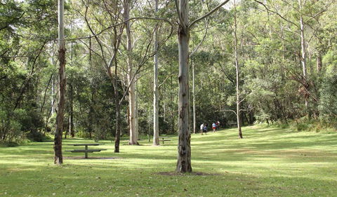 Mill Creek Picnic Area - Redcliffe Tourism 3