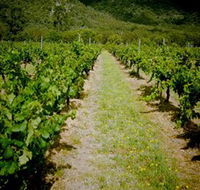 Gartelmann Wines - Redcliffe Tourism