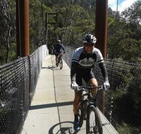 McGees Cycling Store - Redcliffe Tourism