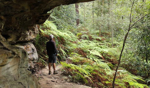 Dharug National Park - Redcliffe Tourism 0