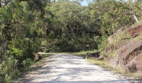 Dharug National Park - Redcliffe Tourism 1