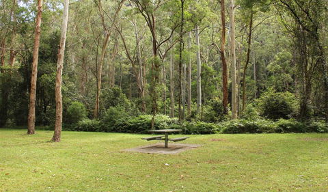 Dharug National Park - Redcliffe Tourism 3