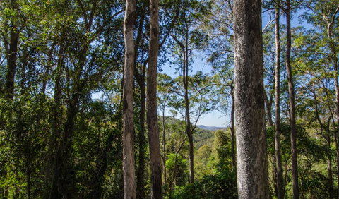 Basin Loop Track - Redcliffe Tourism 3