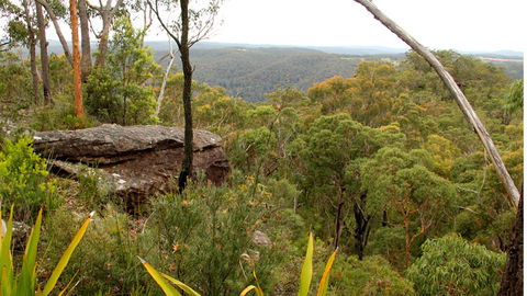 Mount Olive Lookout - Redcliffe Tourism 2