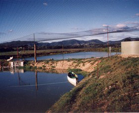 Trudgalong Farm - Redcliffe Tourism 1