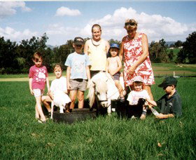 Trudgalong Farm - Redcliffe Tourism 2