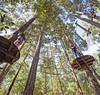 TreeTop Adventure Park Central Coast - Redcliffe Tourism