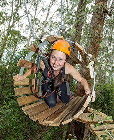 TreeTop Adventure Park Central Coast - Redcliffe Tourism 3