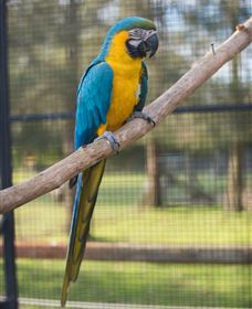 Amazement Farm And Fun Park / Cafe And Farmstay Accommodation - Redcliffe Tourism 8