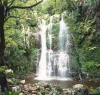 Budderoo National Park - The Falls Walk - Redcliffe Tourism