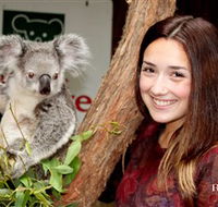 Blackbutt Reserve - Redcliffe Tourism