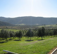 Hastings Valley Olives - Redcliffe Tourism
