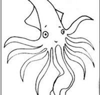 Squid Studio - Redcliffe Tourism