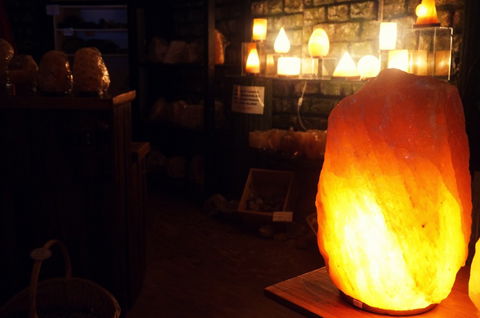 The Elephant Shop - Redcliffe Tourism 1