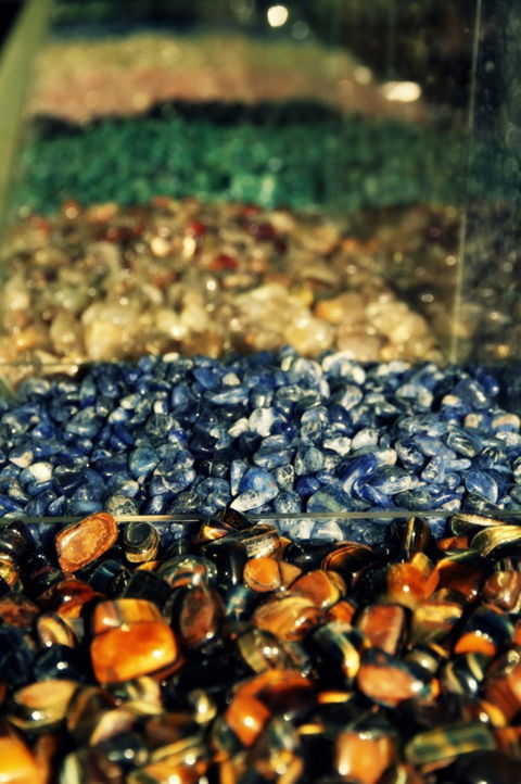 The Elephant Shop - Redcliffe Tourism 3