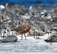 Cooloola Nature - Redcliffe Tourism