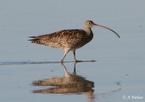 Cooloola Nature - Redcliffe Tourism 3