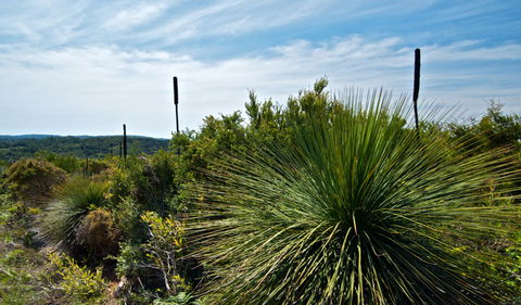 Munmorah State Conservation Area - Redcliffe Tourism 1