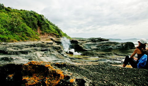 Glenrock State Conservation Area - Redcliffe Tourism 0