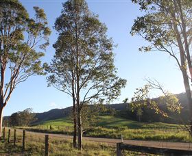 Tourist Drive 2 - Bucketts Way - Redcliffe Tourism 1
