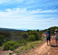 Moonee Beach trail - Redcliffe Tourism