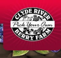Clyde River Berry Farm - Redcliffe Tourism