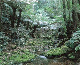The Corn Trail Walk - Redcliffe Tourism 0