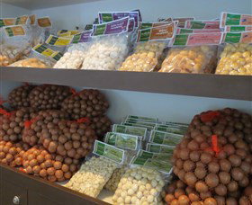 Medowie Macadamias - Redcliffe Tourism 2