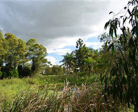 Jabiru Geenbeebeinga Wetlands - Redcliffe Tourism 2