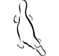 Platypus Gallery - Redcliffe Tourism